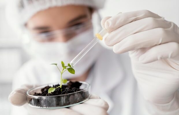 The Role of Biotechnology in Agriculture